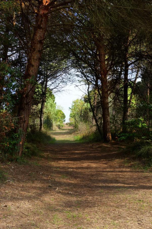 Natura Cavallino-Treporti Exteriér fotografie