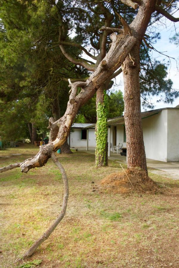 Natura Cavallino-Treporti Exteriér fotografie