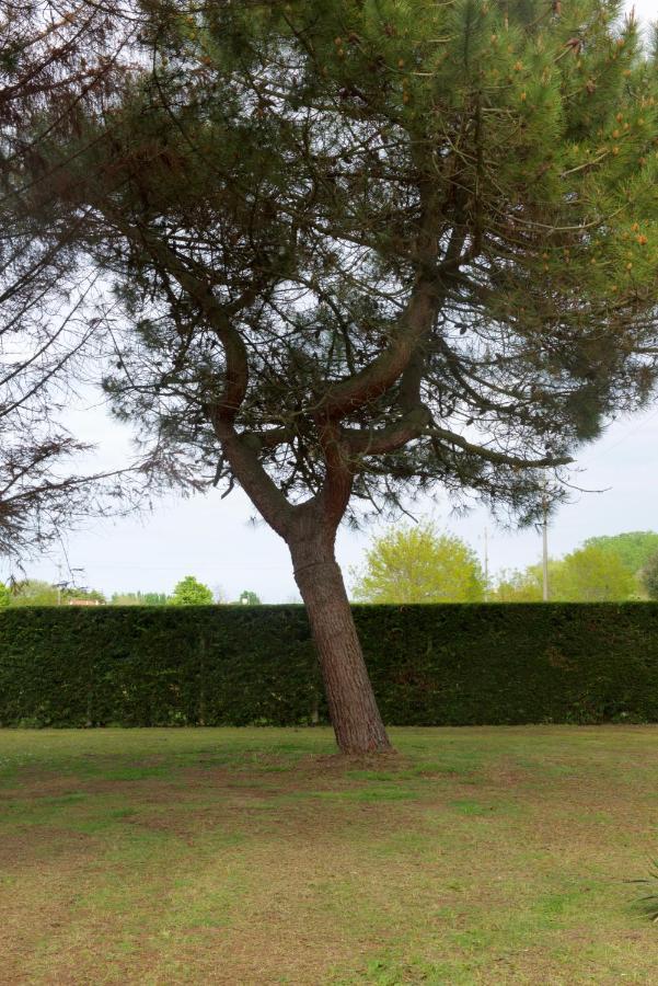 Natura Cavallino-Treporti Exteriér fotografie